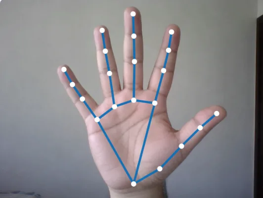 A hand held up to the webcam, with the 21 points the hand tracker found joined by blue lines.